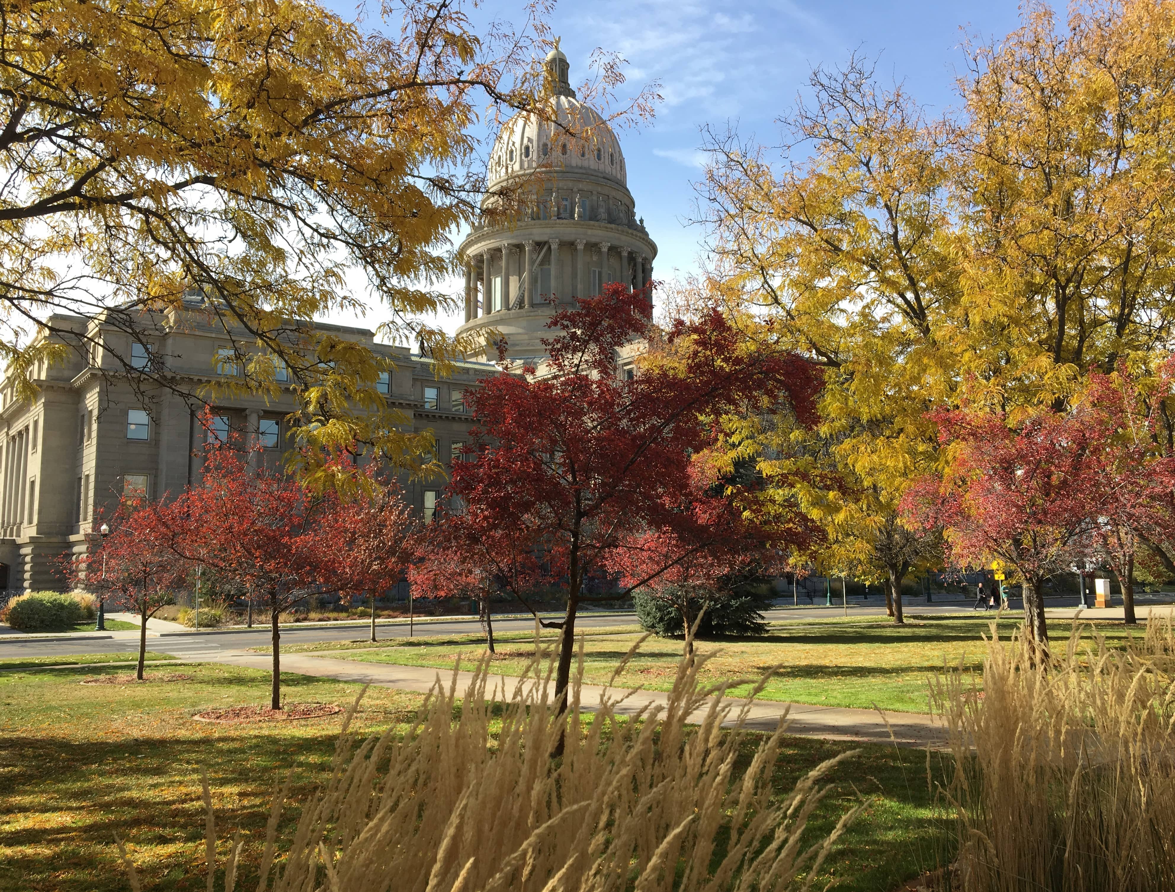 The Idaho Capitol from the back with autumn foliage.